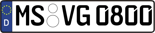 MS-VG0800