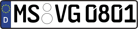 MS-VG0801