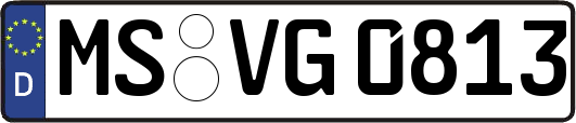 MS-VG0813