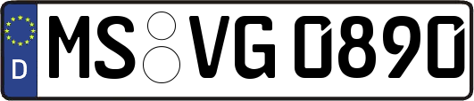 MS-VG0890