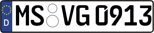 MS-VG0913