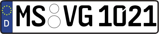 MS-VG1021