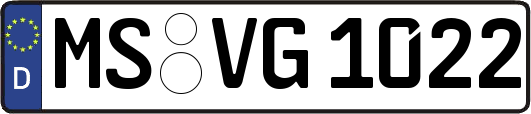 MS-VG1022