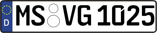 MS-VG1025
