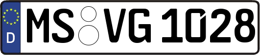 MS-VG1028