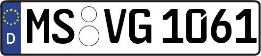 MS-VG1061
