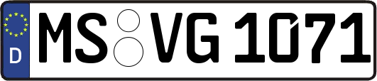 MS-VG1071