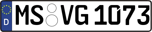 MS-VG1073