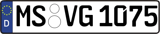 MS-VG1075