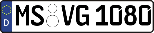 MS-VG1080