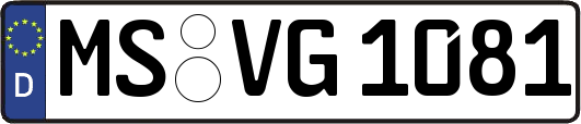 MS-VG1081