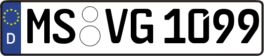 MS-VG1099