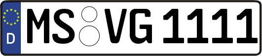 MS-VG1111