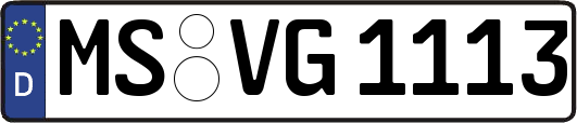 MS-VG1113