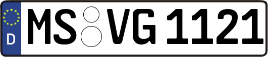 MS-VG1121