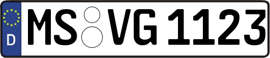 MS-VG1123