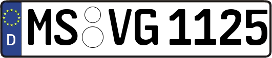 MS-VG1125
