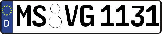 MS-VG1131