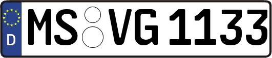 MS-VG1133