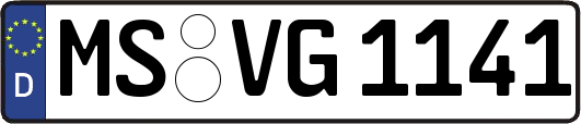 MS-VG1141