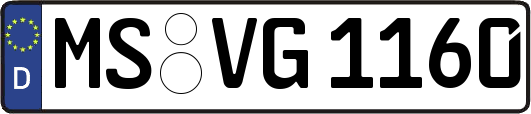 MS-VG1160