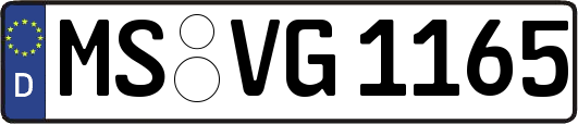 MS-VG1165