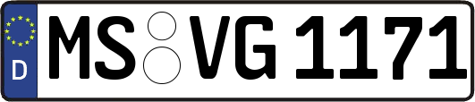 MS-VG1171