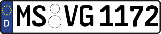 MS-VG1172