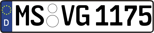MS-VG1175