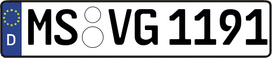 MS-VG1191