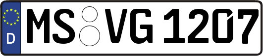 MS-VG1207