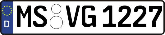 MS-VG1227