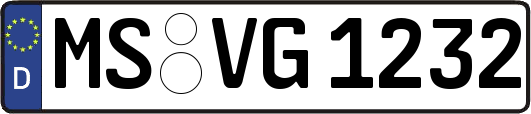 MS-VG1232