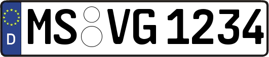 MS-VG1234