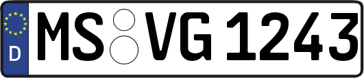 MS-VG1243