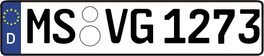 MS-VG1273