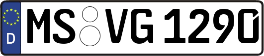 MS-VG1290