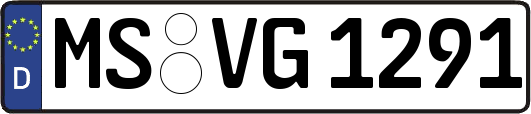 MS-VG1291