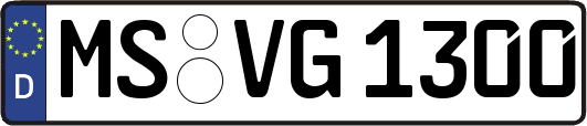 MS-VG1300