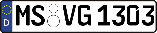 MS-VG1303