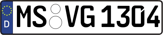 MS-VG1304