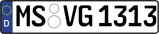 MS-VG1313