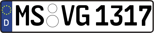 MS-VG1317