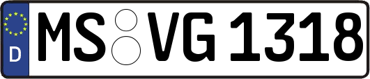MS-VG1318