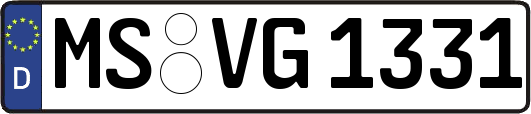 MS-VG1331