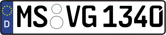 MS-VG1340