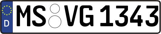 MS-VG1343