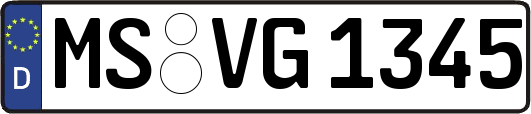 MS-VG1345