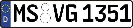 MS-VG1351
