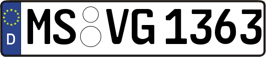 MS-VG1363